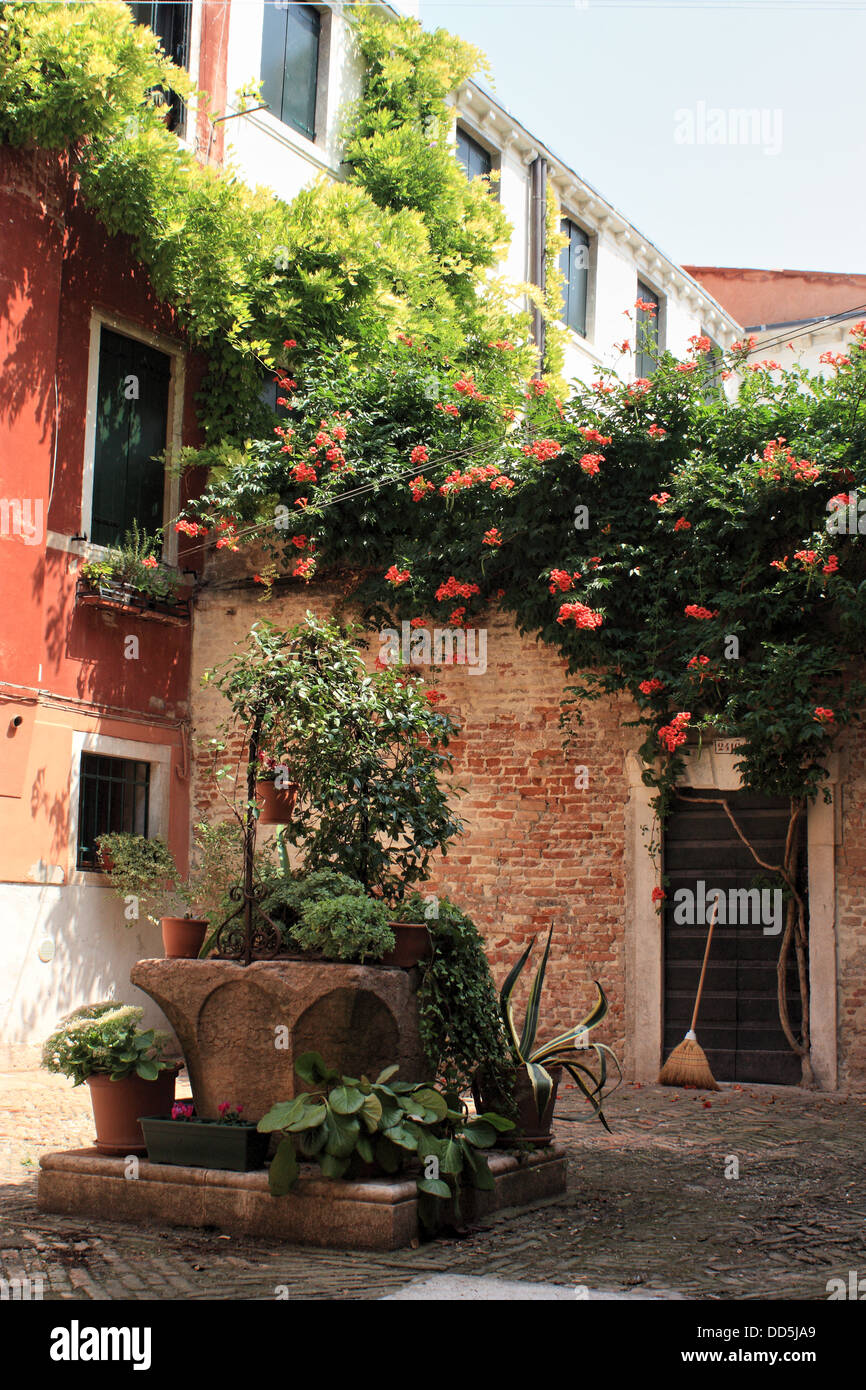 Corte del Calderer. Planted water well in a Venetian court yard, Santa Croce district. Stock Photo