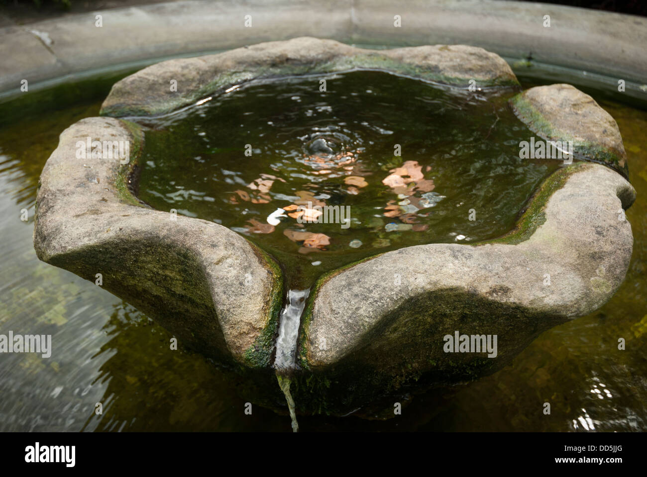 A stone wishing well with coins in the water Stock Photo - Alamy