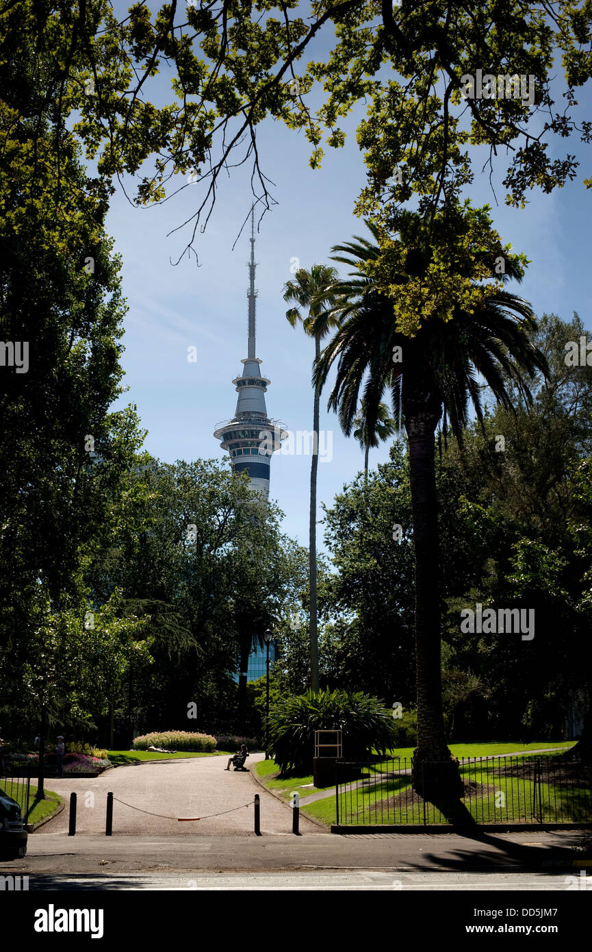 Auckland, New Zealand, January 23, 2012: the Sky Tower, framed by the trees of Auckland's Albert Park Stock Photo
