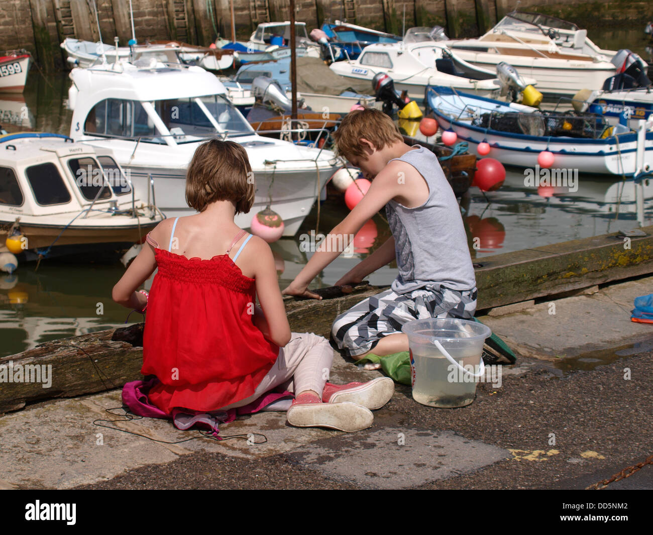 Crab fishing at West Bay harbour, Dorset, UK 2013 Stock Photo Alamy