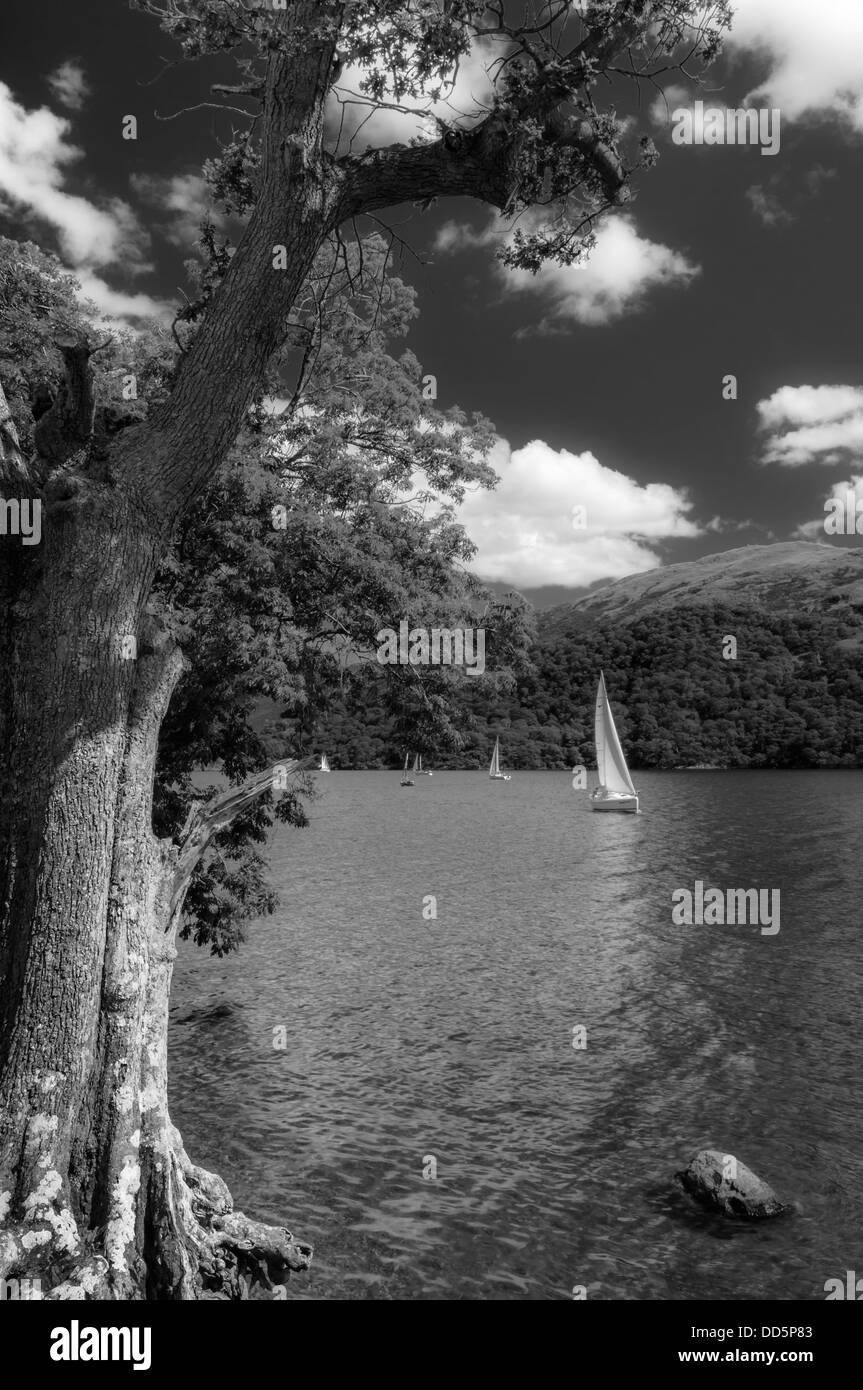 Group of sail boats Black and White Stock Photos & Images - Alamy