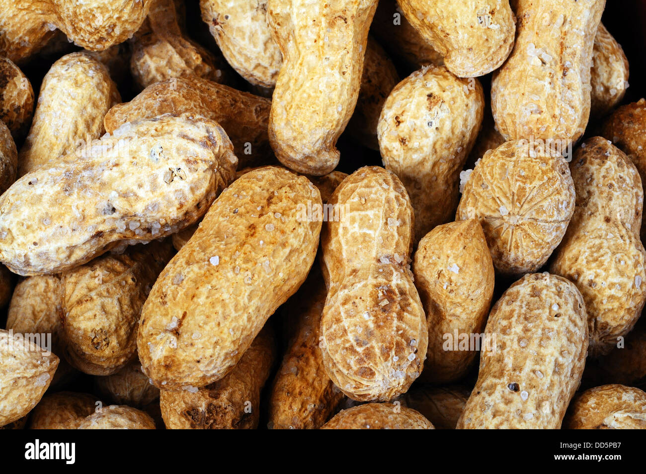 Monkey nuts in their shells Stock Photo Alamy