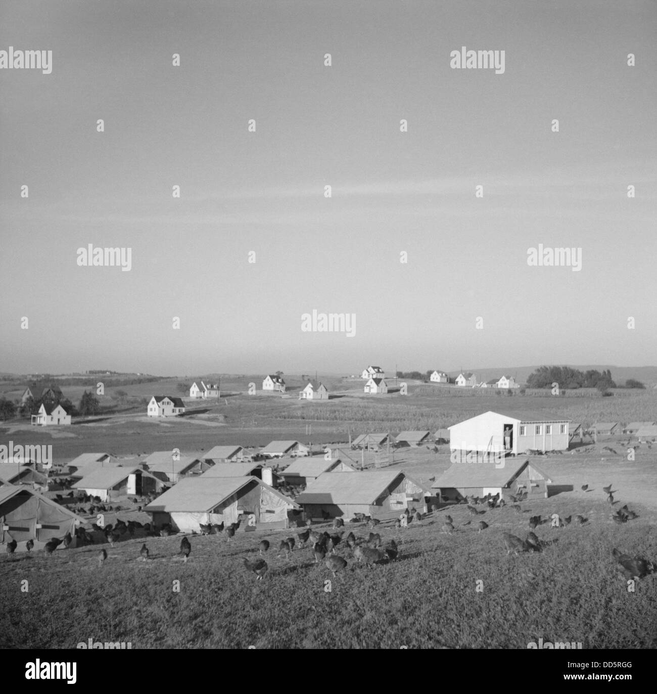 New Deal Resettlement project, Westmoreland Homesteads, in Pennsylvania