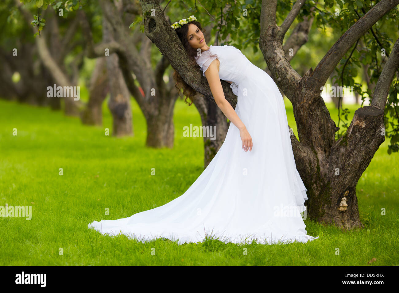 Woman in a long white dress sitting on the grass in the apple orchard ...