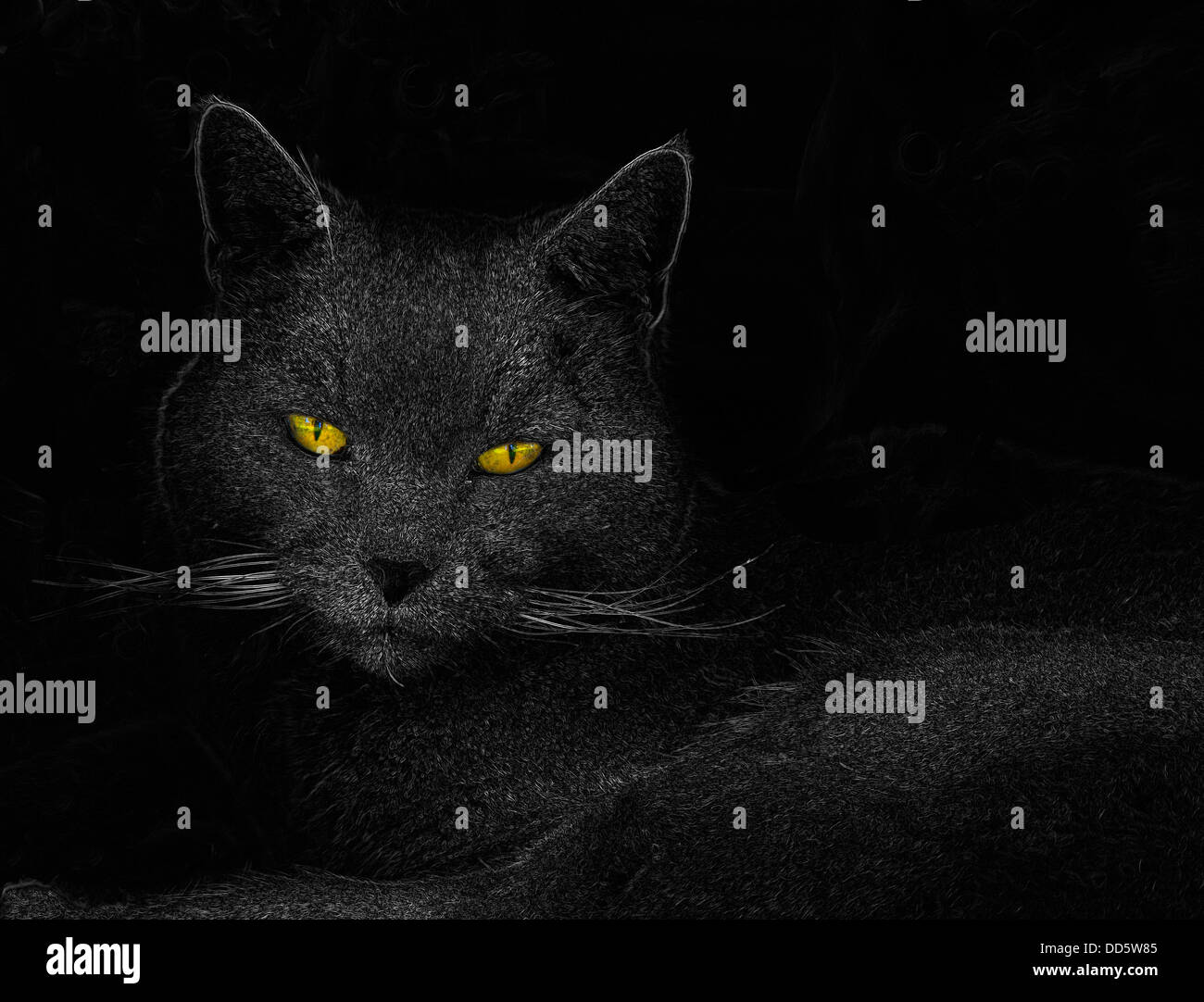 An etching like image of a cat with vivid yellow eyes. Stock Photo