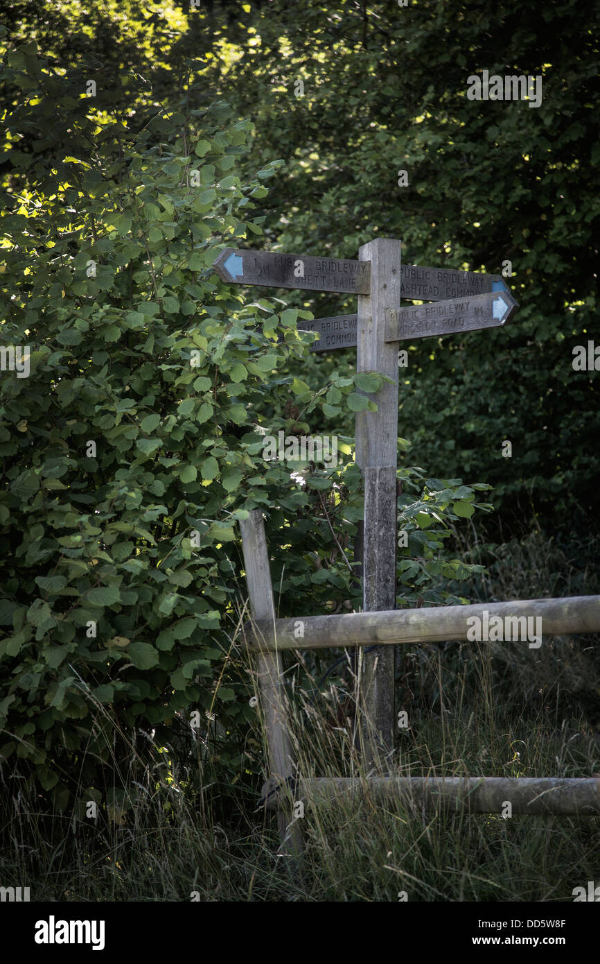 A signpost and wooden fence in the woods. Stock Photo