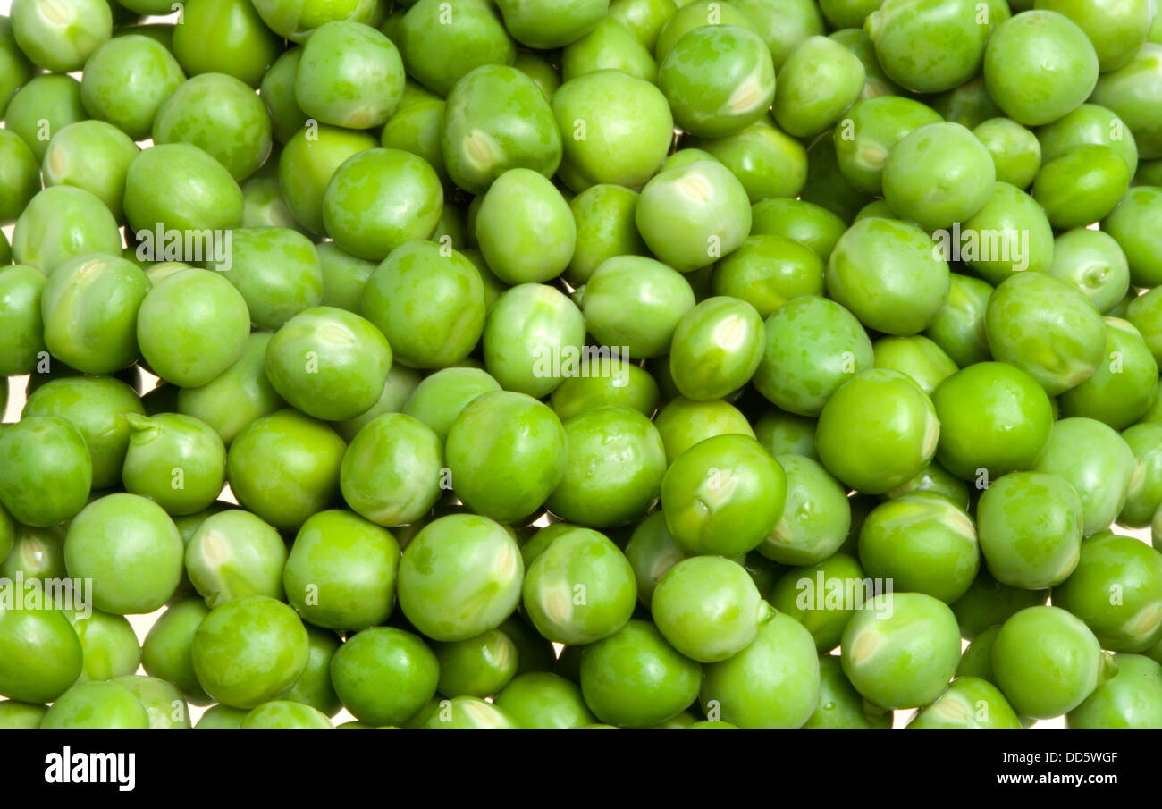 Food, Vegetables, Peas, Fresh ripe green English garden peas Pisum sativum. Stock Photo