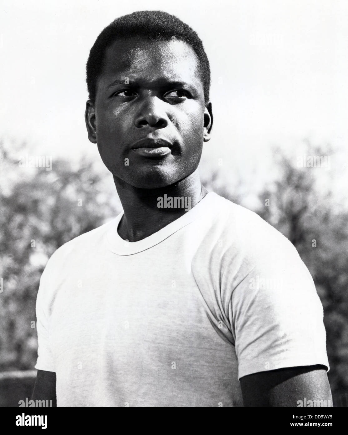 LILIES OF THE FIELD (1963) SIDNEY POITIER, RALPH NELSON (DIR) LOFF 010