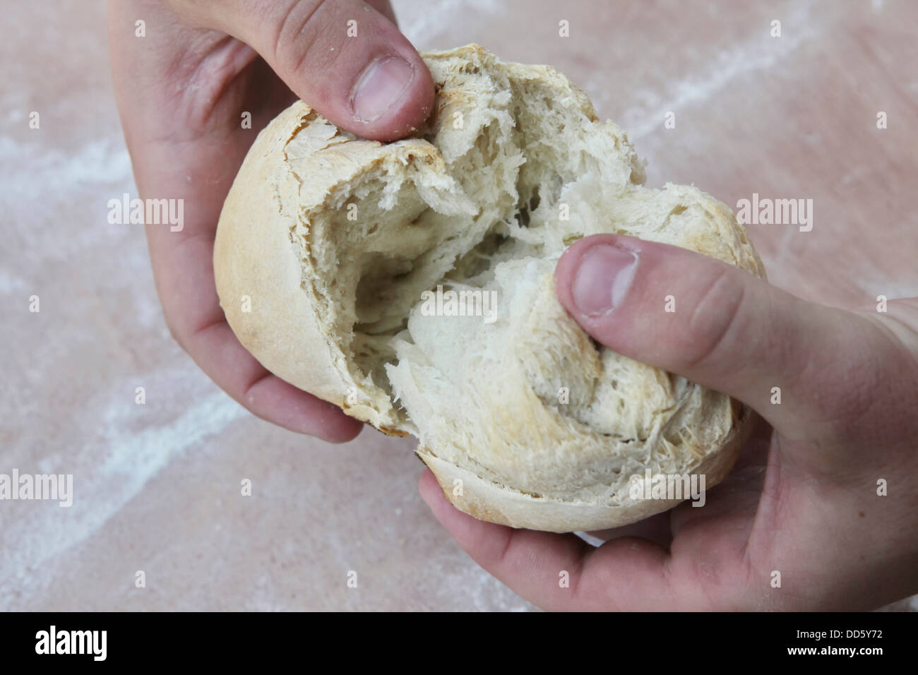 Baker inspects a freshly baked roll by cracking it open to see if the interior is sufficiently baked Stock Photo