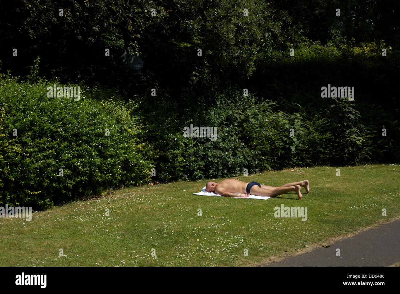 Sunbather park man hi-res stock photography and images - Alamy