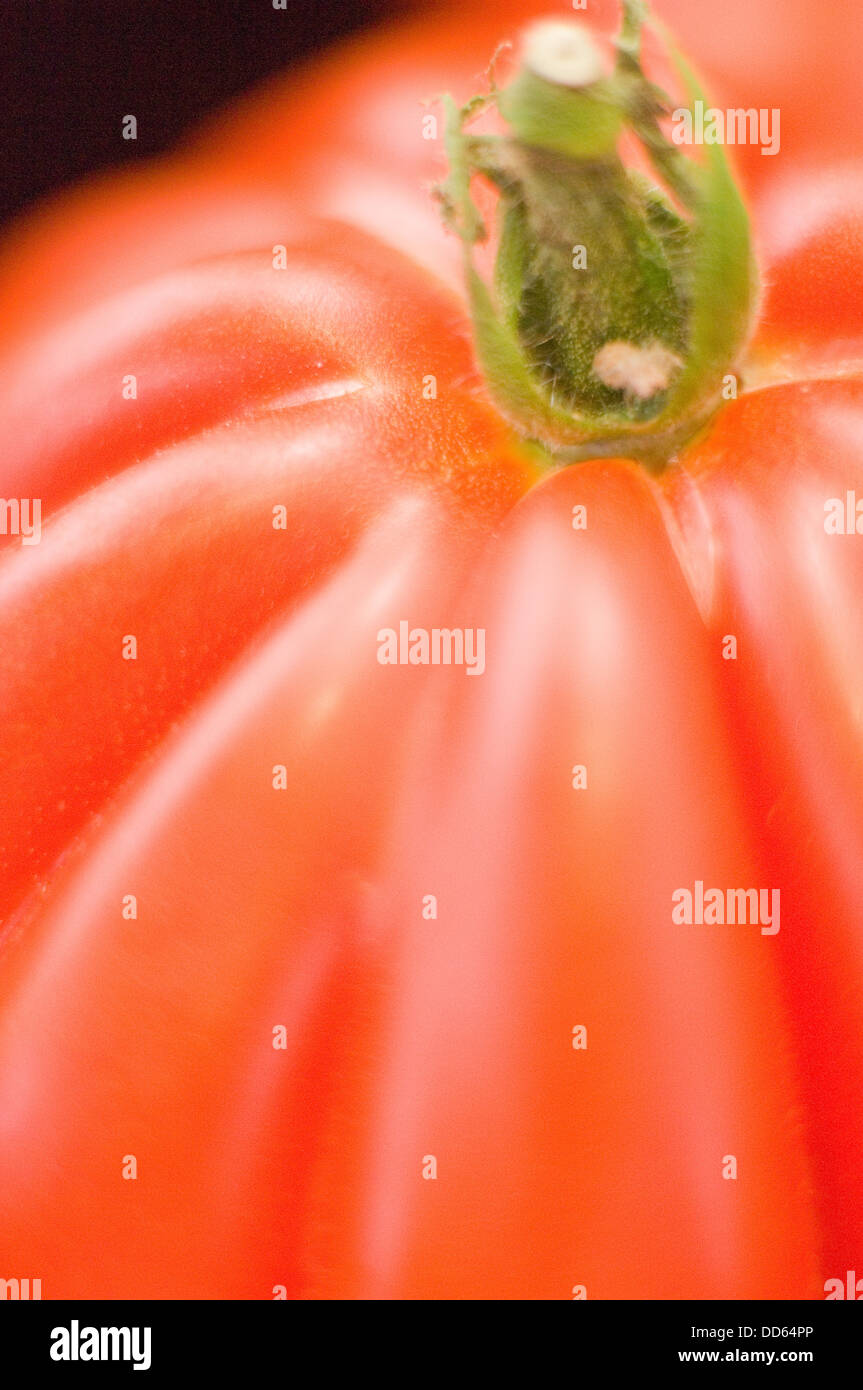 Tomato Calyx High Resolution Stock Photography and Images Alamy