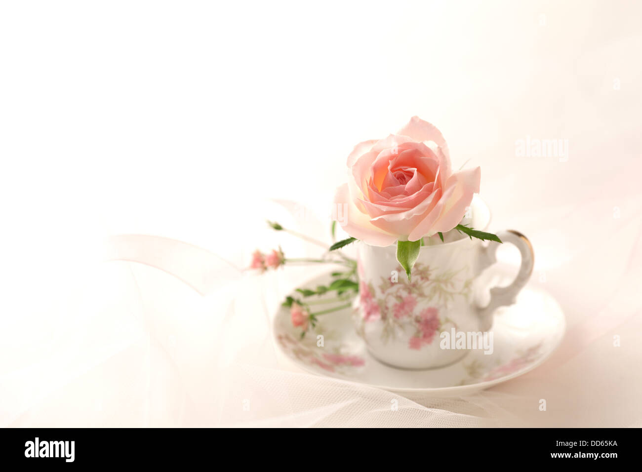 Tea cup and rose Stock Photo