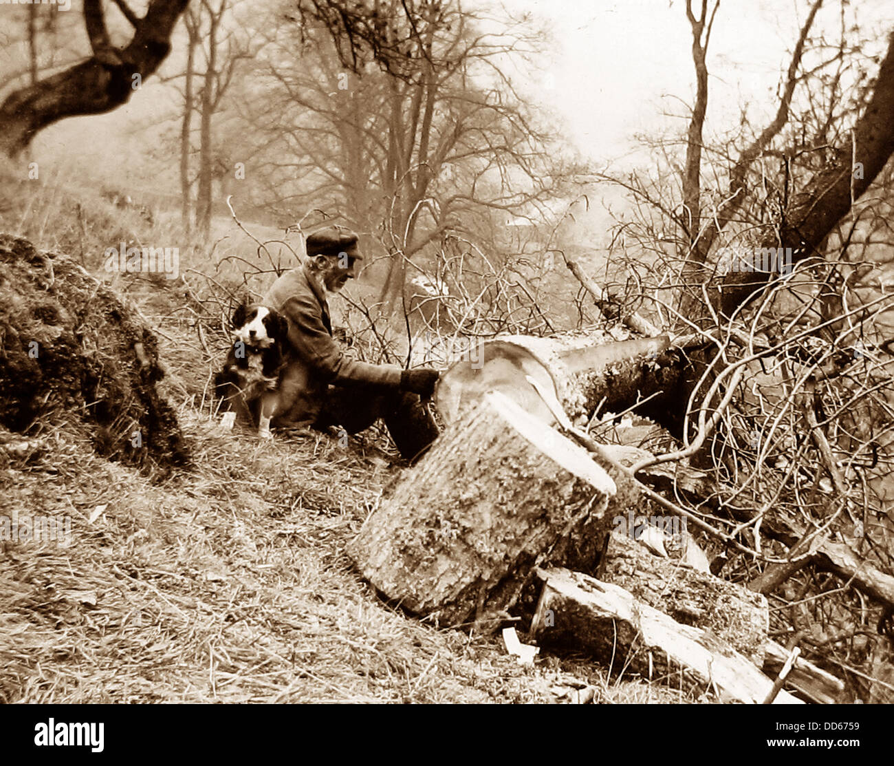 Woodcutter and his dog Victorian period Stock Photo