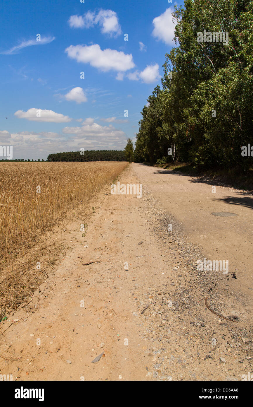 A path in a countryside Stock Photo - Alamy