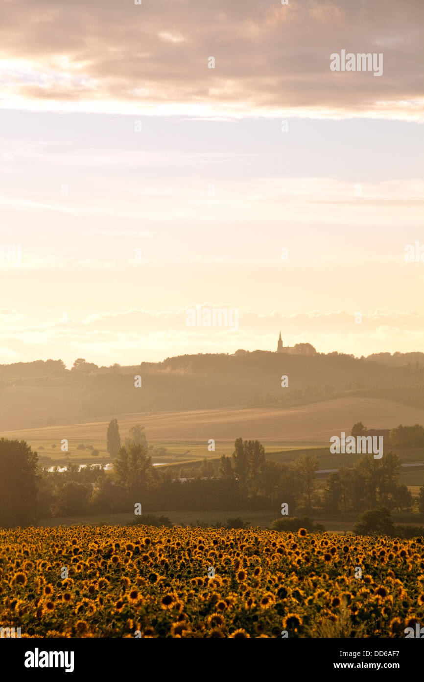 Lot Valley landscape at sunset, France, Europe Stock Photo