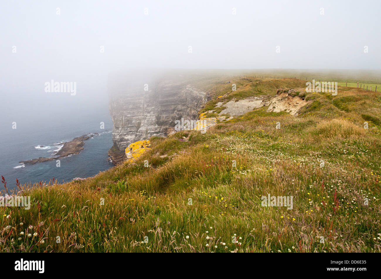 A sea mist at Marwick Head, Orkney. Stock Photo