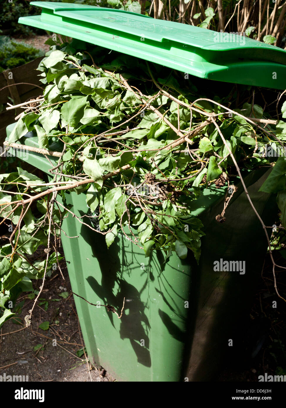 A full garden waste bin, UK Stock Photo Alamy