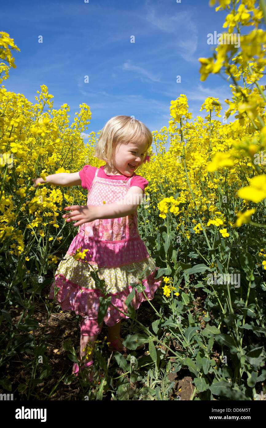 Happy toddler girl playing in rapeseed field Stock Photo - Alamy