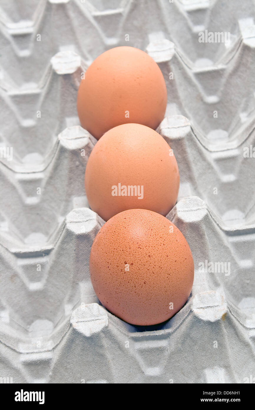 Eggs in cardboard Stock Photo Alamy