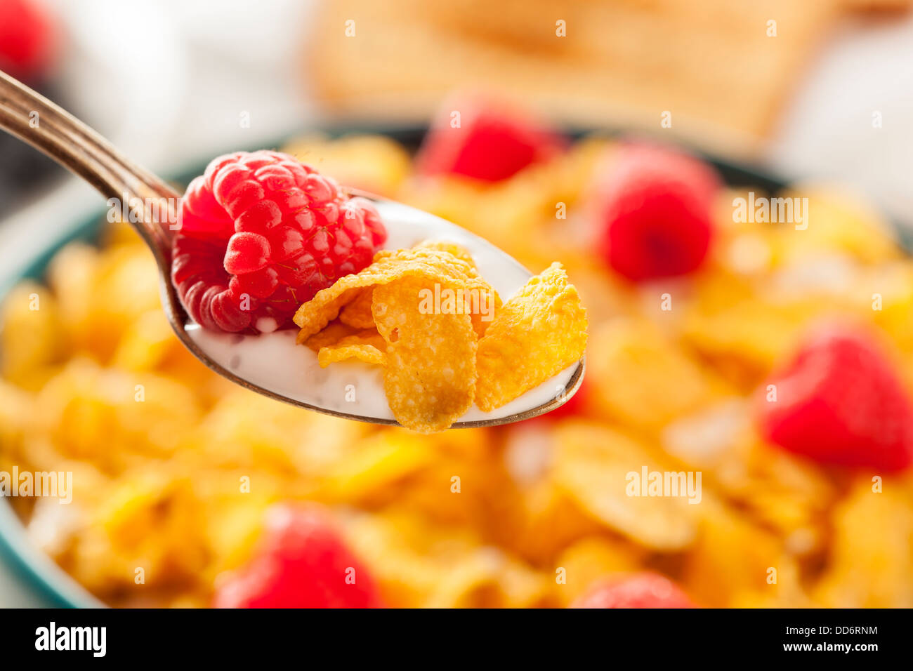 Healthy Cornflake Cereal for Breakfast with Berries Stock Photo Alamy