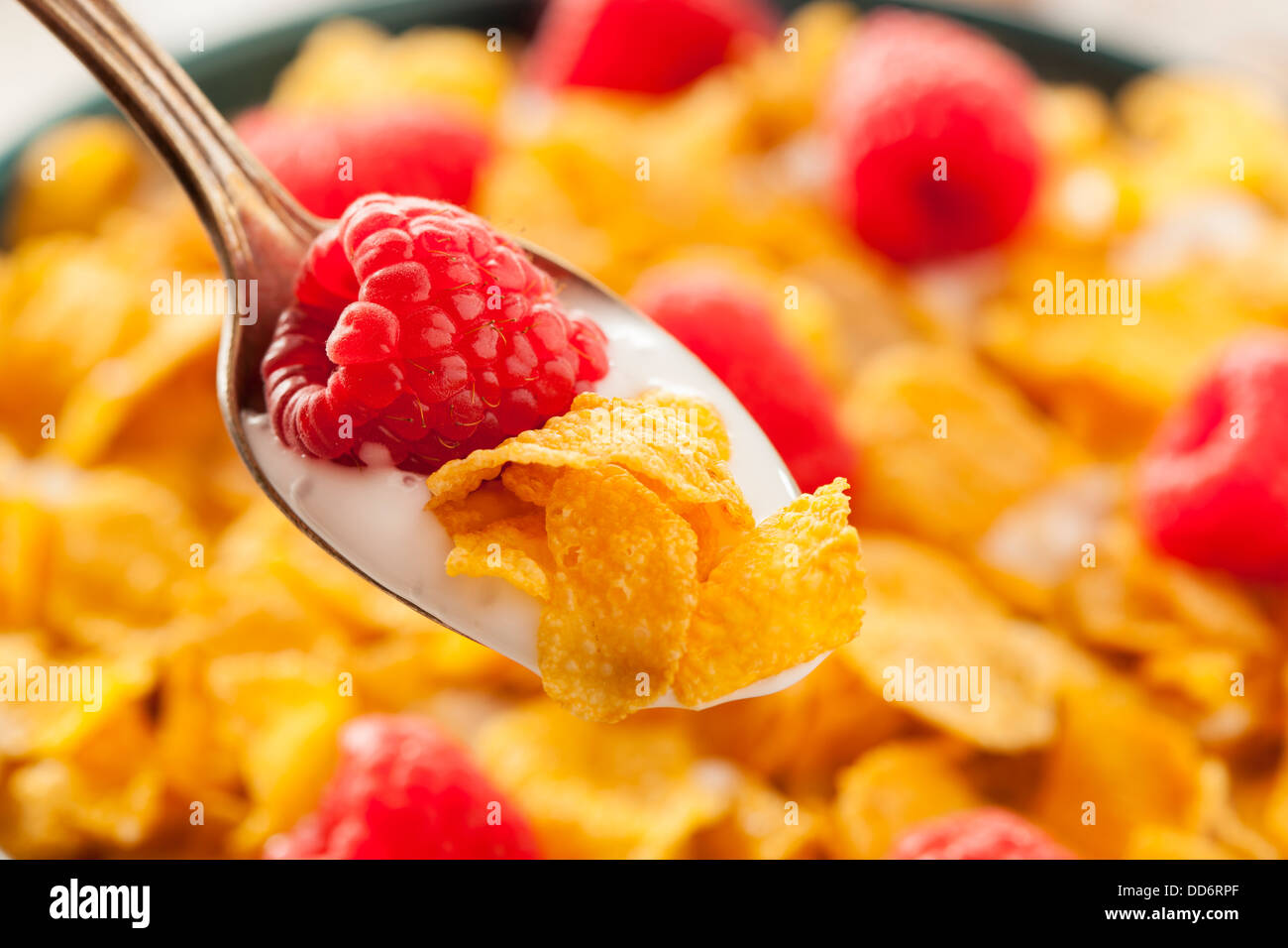 Healthy Cornflake Cereal for Breakfast with Berries Stock Photo - Alamy
