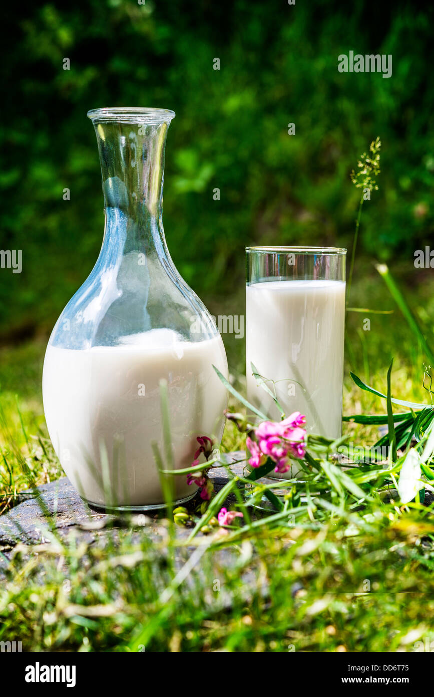 jug and glass of fresh milk in a green background Stock Photo