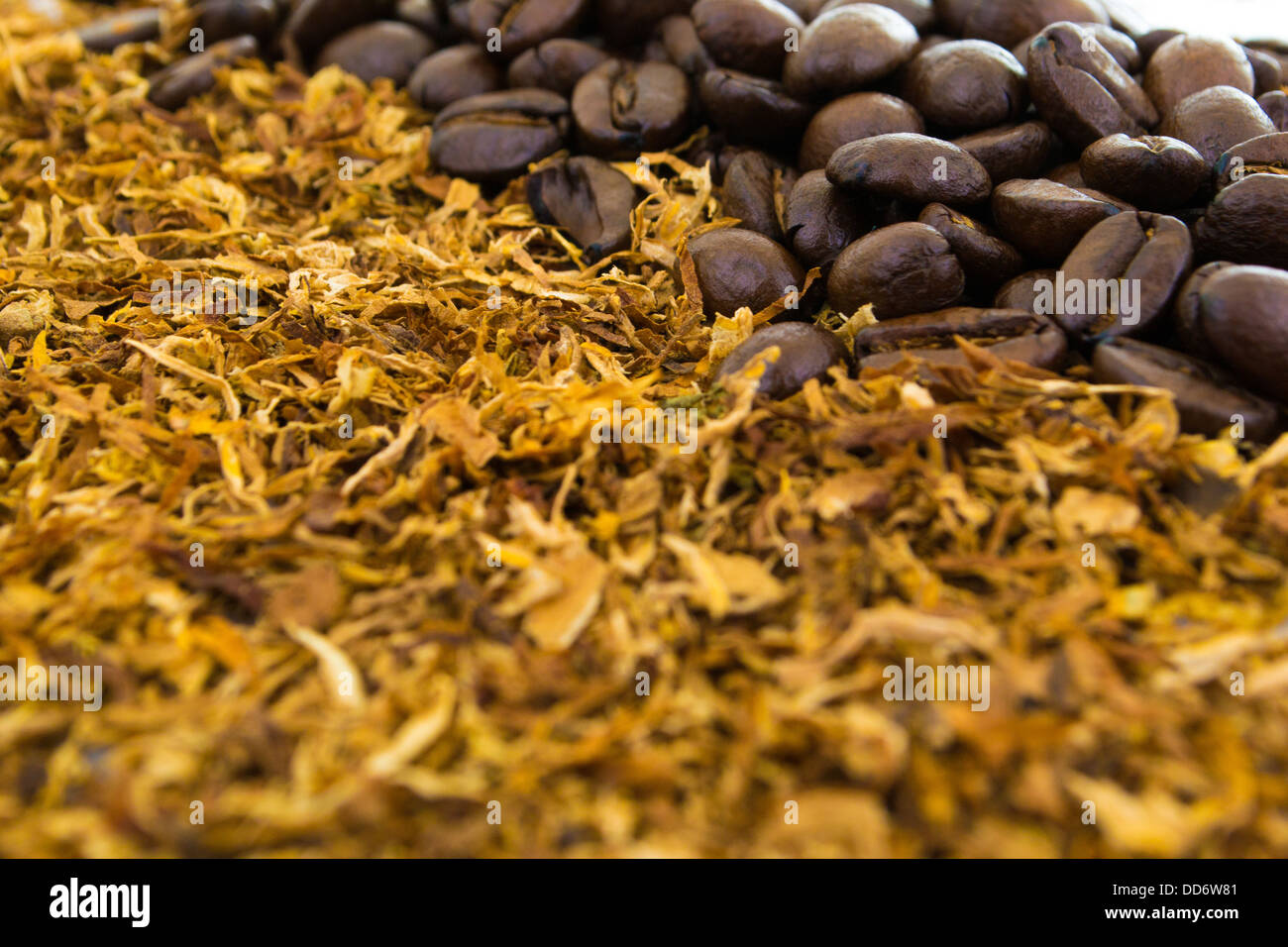 Cigarettes morning hires stock photography and images Alamy