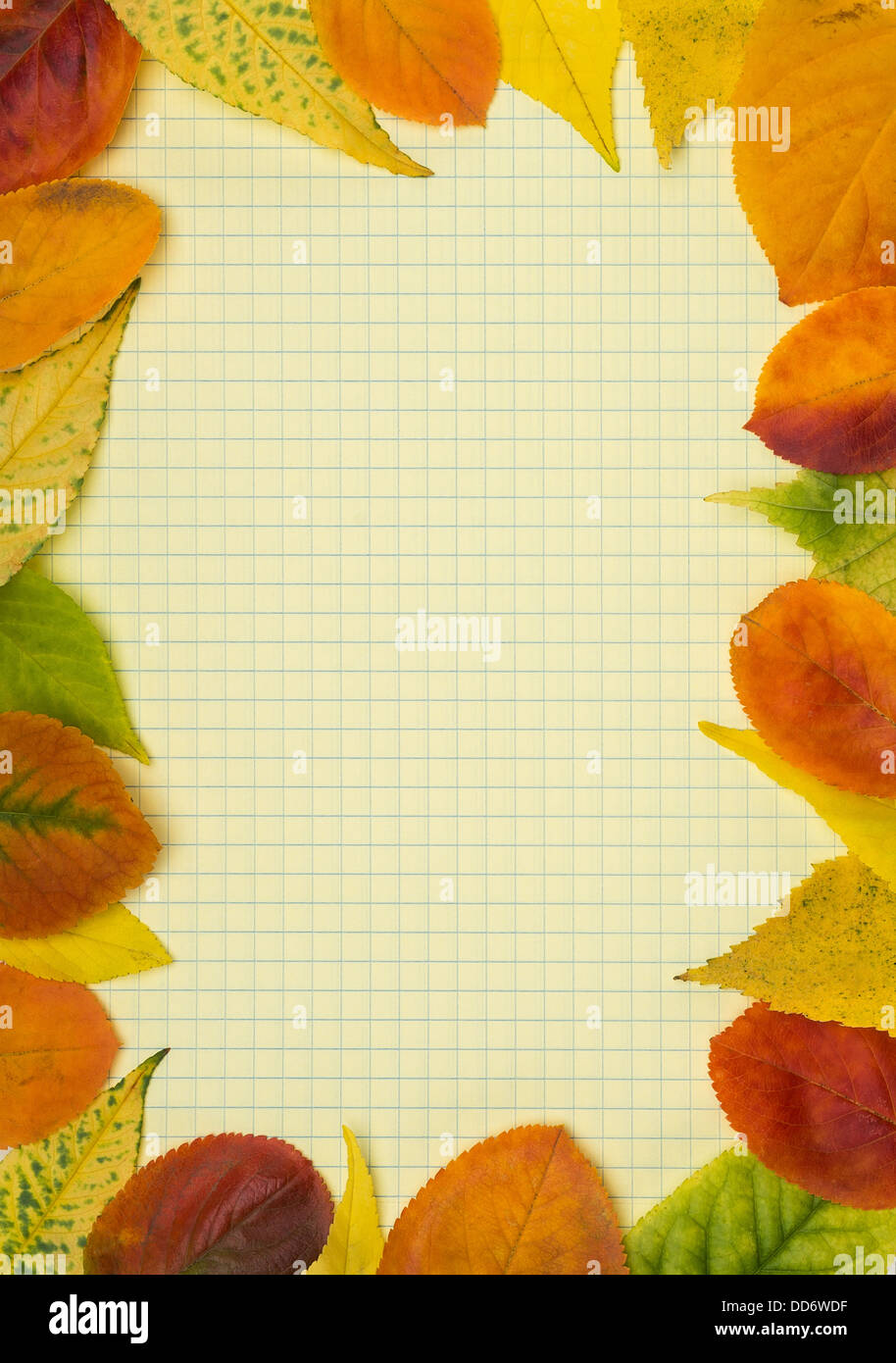 School notebook and frame of autumn leaves Stock Photo - Alamy