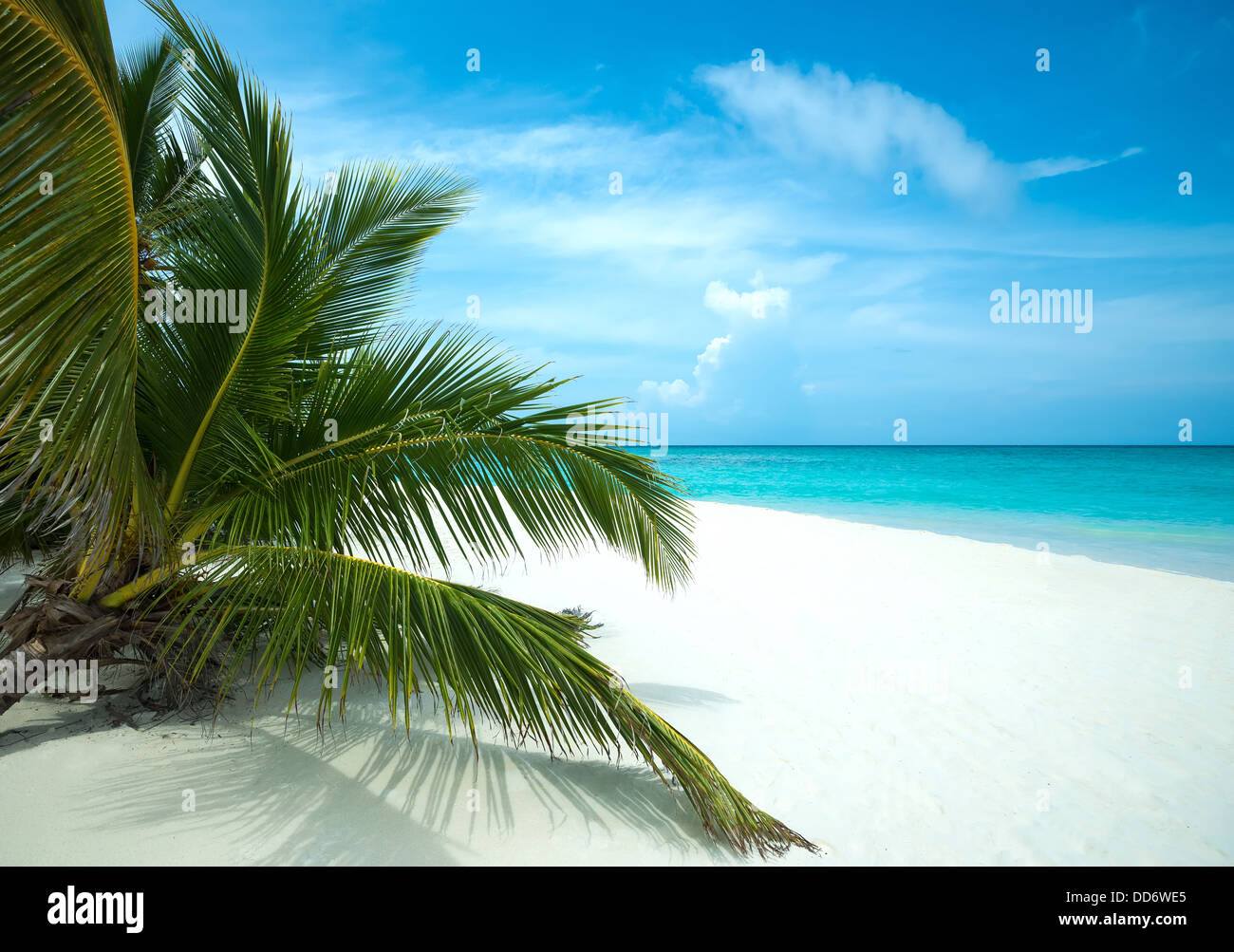 Tropical island in the ocean Stock Photo - Alamy