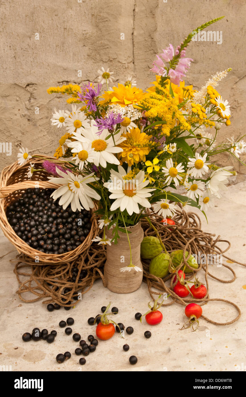 still life bright yellow flowers bouquet and black currants Stock Photo