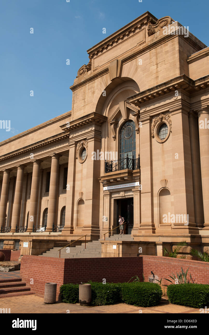 the-national-museum-of-natural-history-pretoria-south-africa-stock
