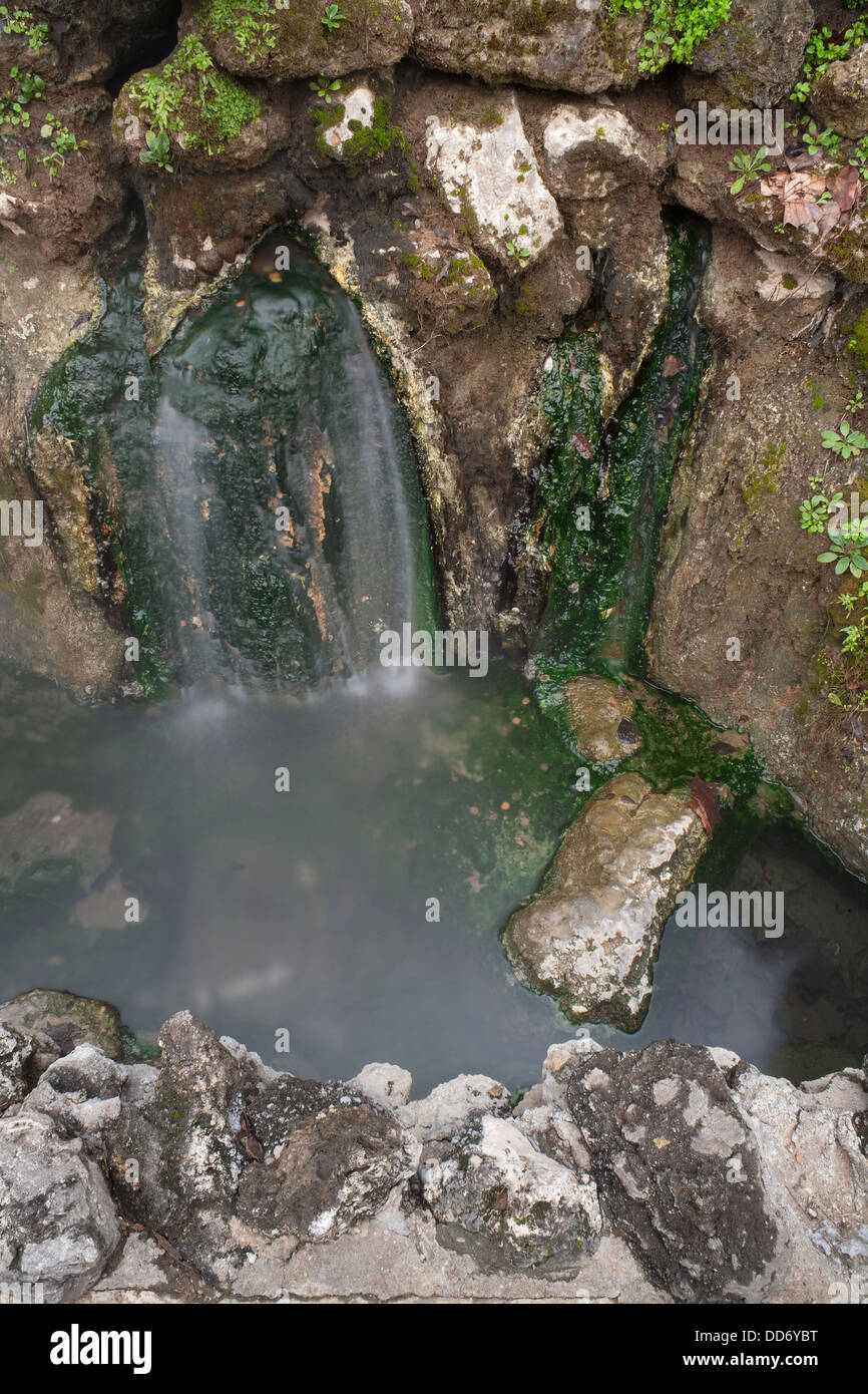 One of 47 hot springs within the city of Hot Springs, Arkansas, USA ...