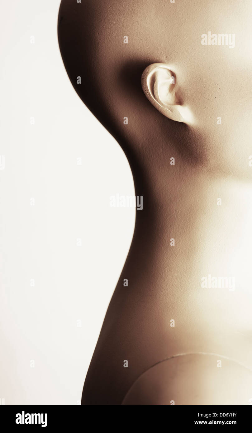 Side view of head on female adult mannequin Stock Photo