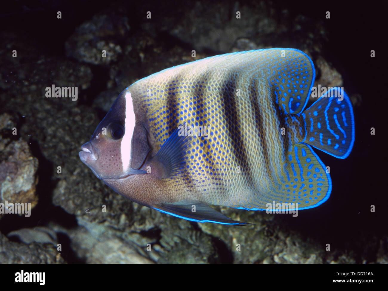 Sixbar Sixbar High Resolution Stock Photography and Images - Alamy