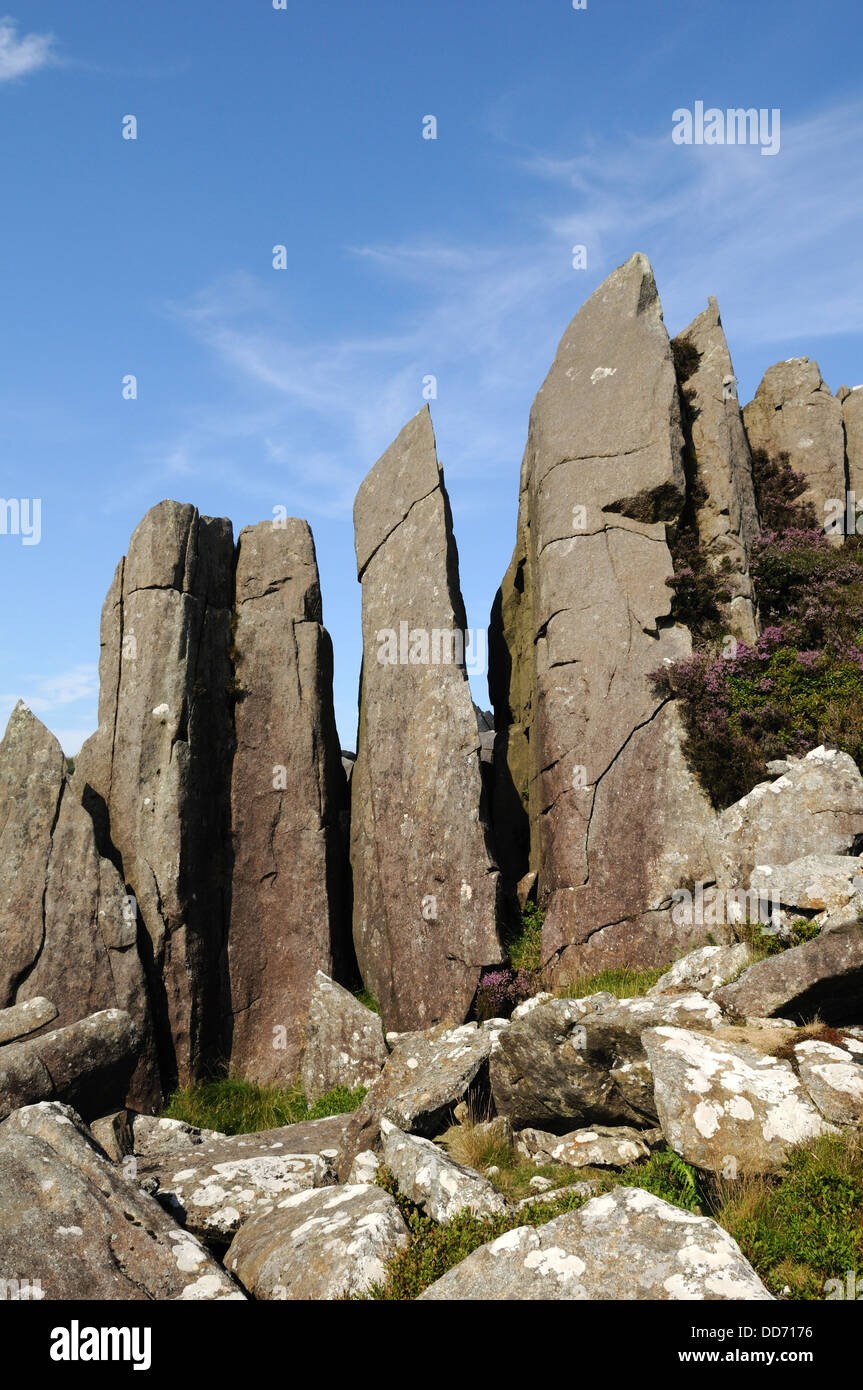 Bluestones outcrops of spotted dolerite Carn Meini or Carn Menyn Preseli Hills Wales Cymru UK GB Stock Photo