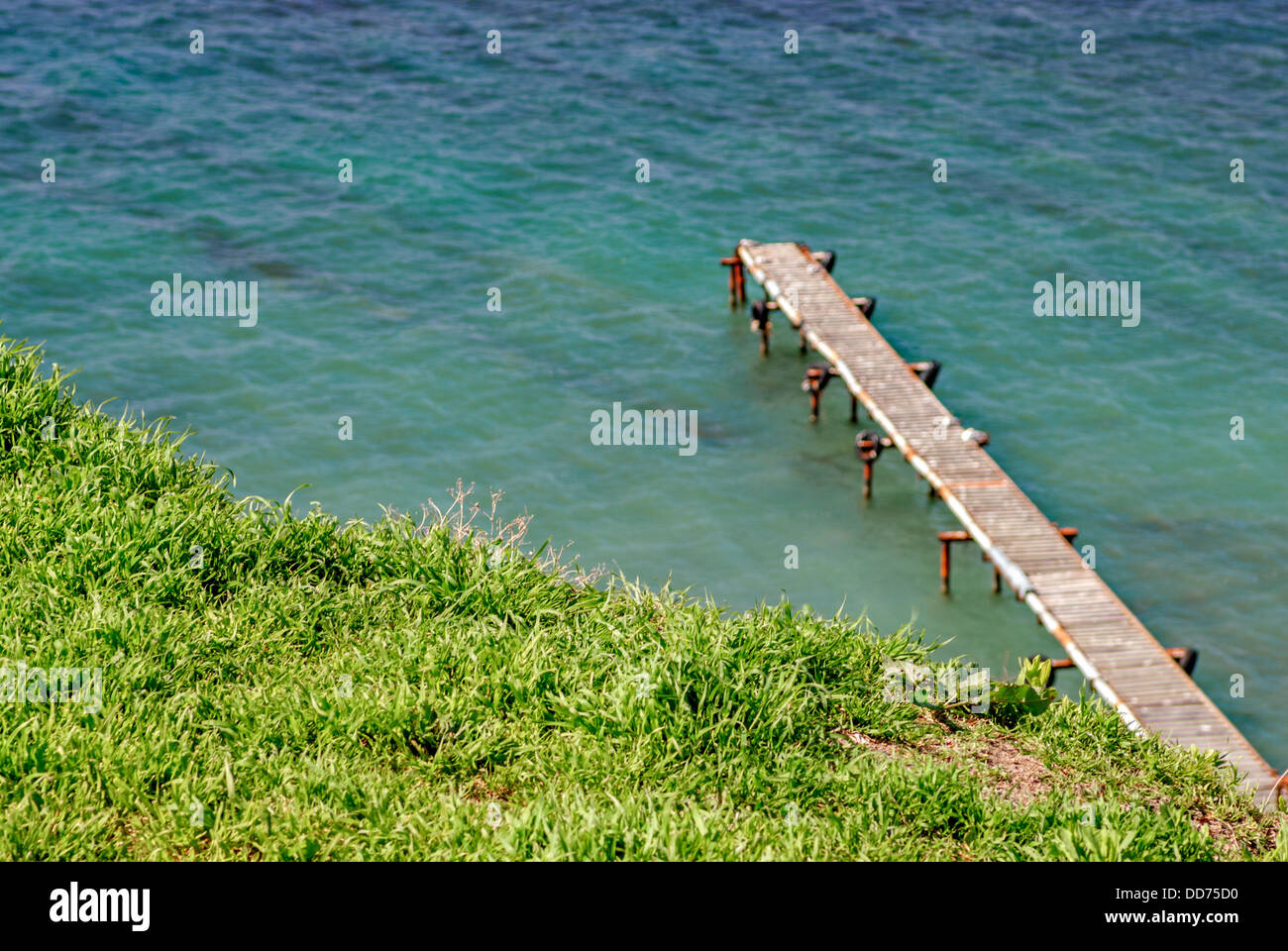 Green grass and sea with pier on background Stock Photo