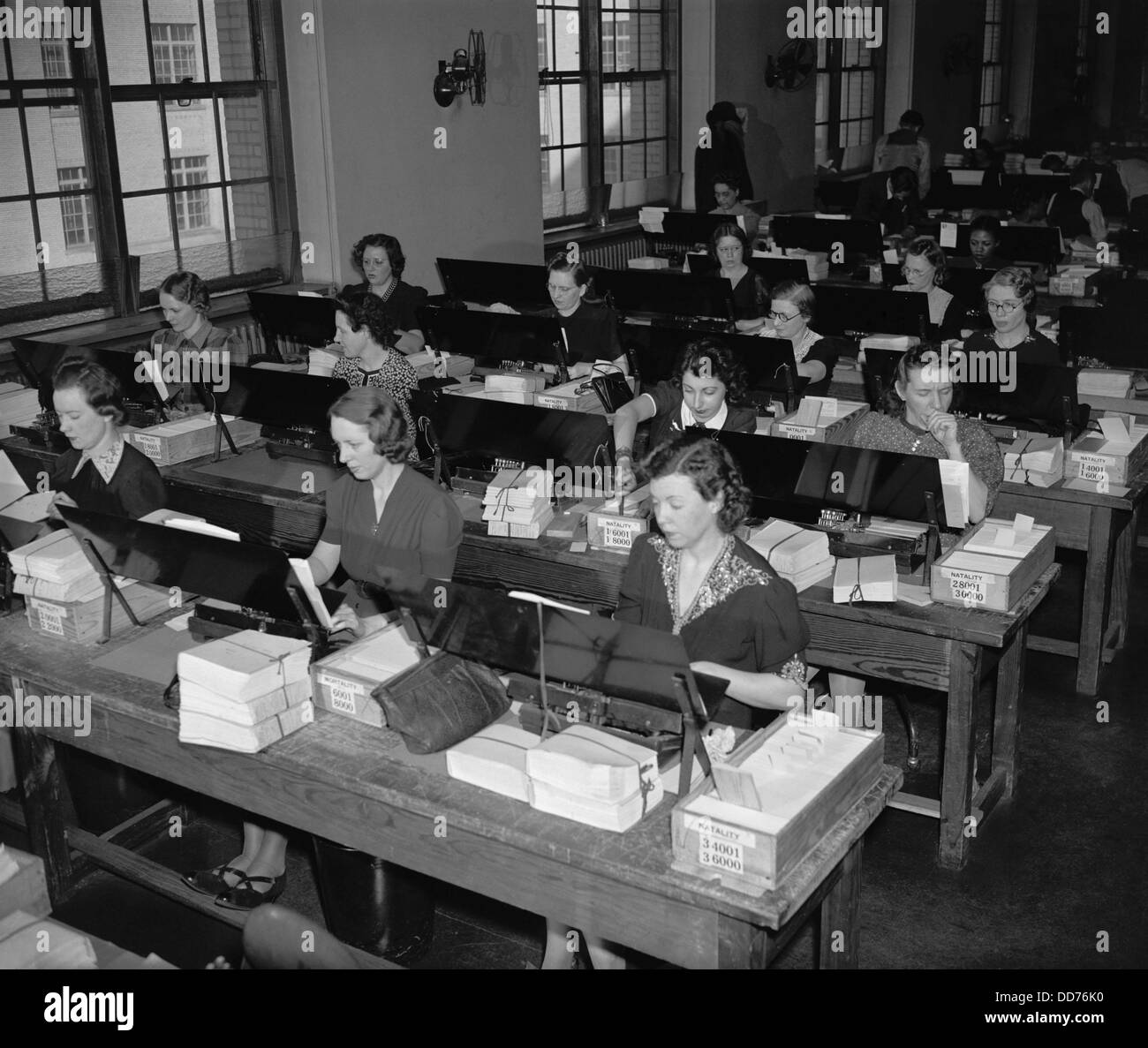 U.S. Census workers transferring birth records to a computer punch cards, ca. 1940. (BSLOC 2013 8 185) Stock Photo