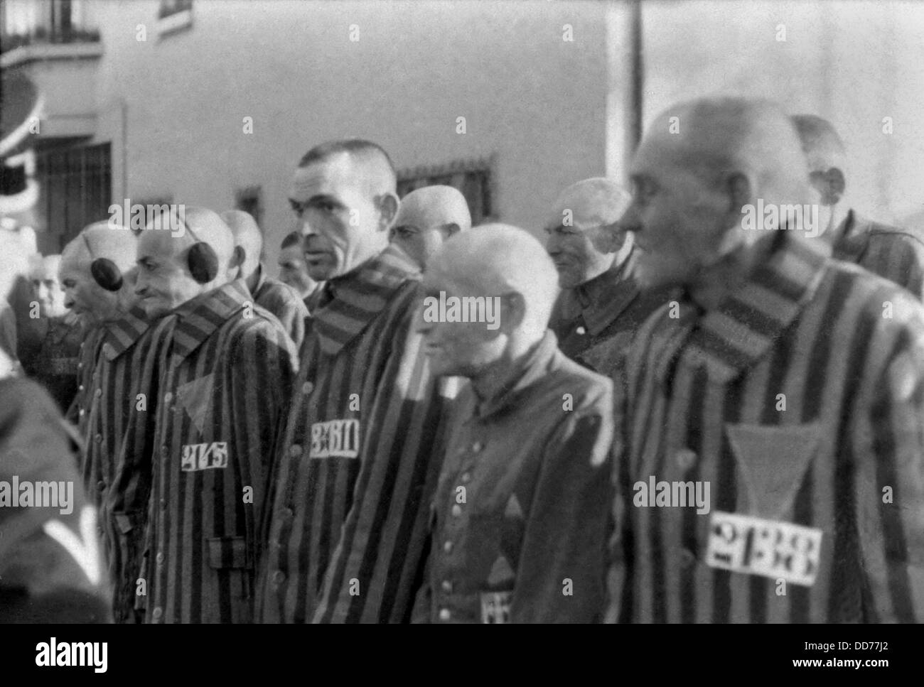 Prisoners in the concentration camp at Sachsenhausen, Germany, Dec. 19, 1938. Located 22 miles north of Berlin, it was near the Stock Photo