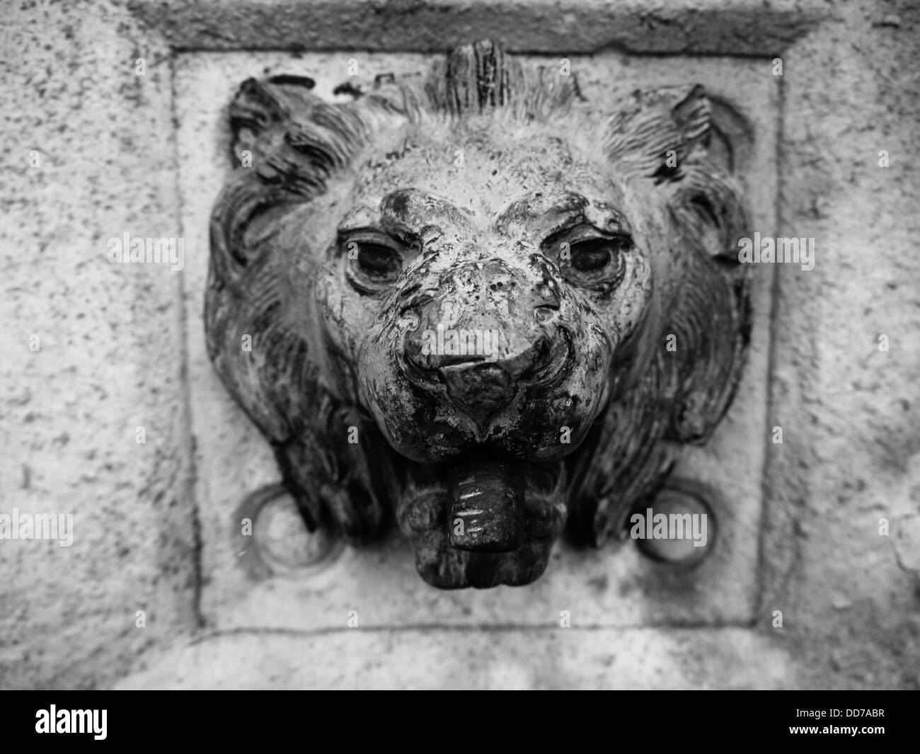 Brass Lion head on a fountain at the Belper Market Square. Stock Photo