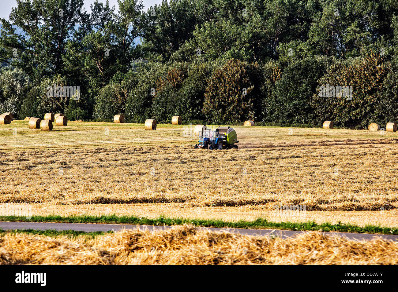 Harvest, harvesting, straw bales, field, tractor Stock Photo - Alamy