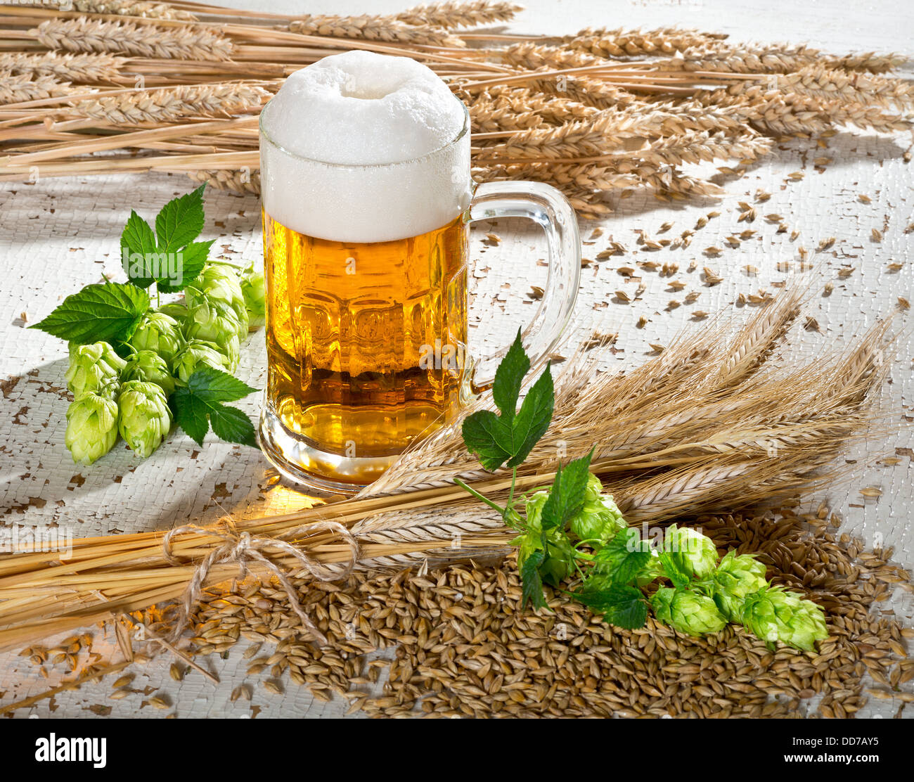 beer and raw material for beer production Stock Photo Alamy