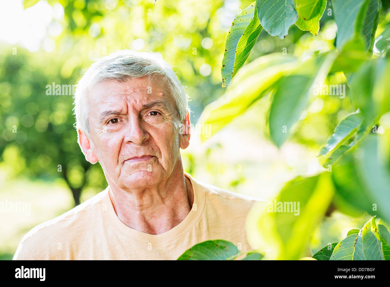 Hans ZDRAZILA, weightlifter, Olympic Games winner, Tokyo 1964 Stock