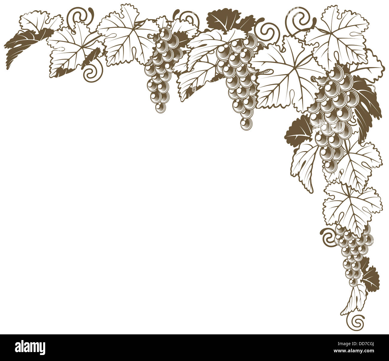 vine border design