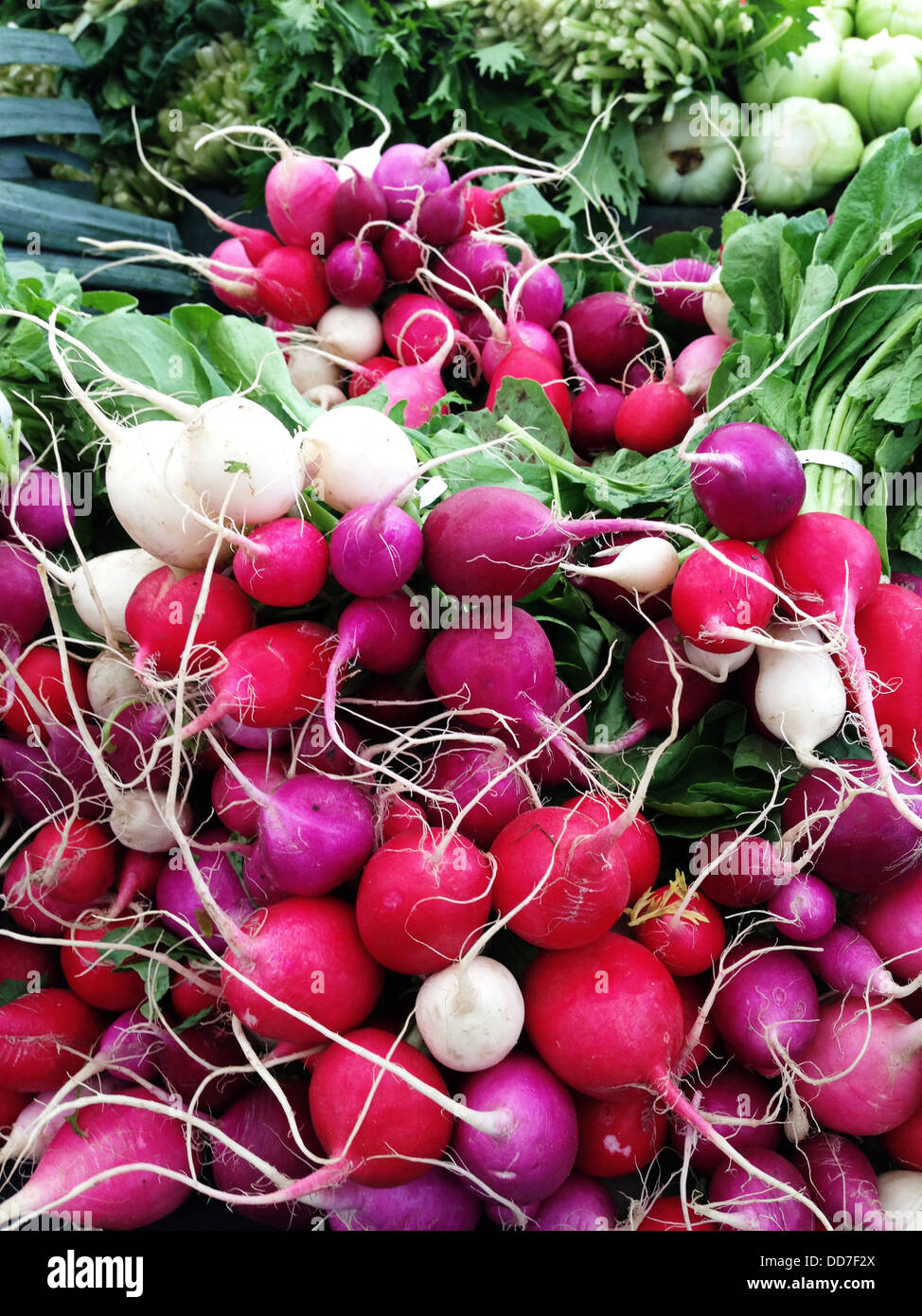 Pile of radishes at farmer's market Stock Photo Alamy