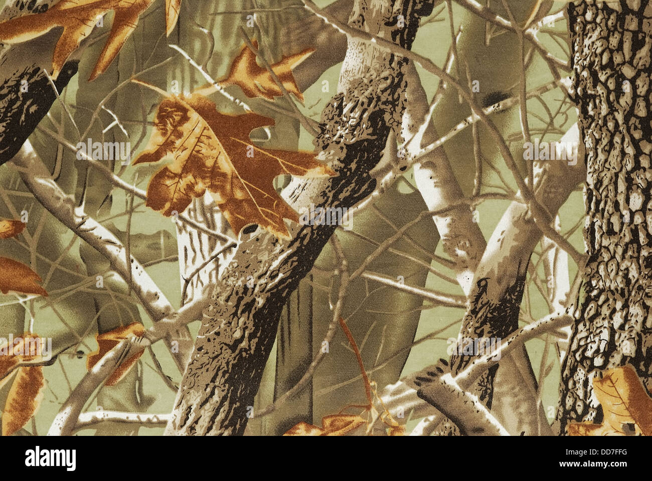 Yellow camo hi-res stock photography and images - Alamy