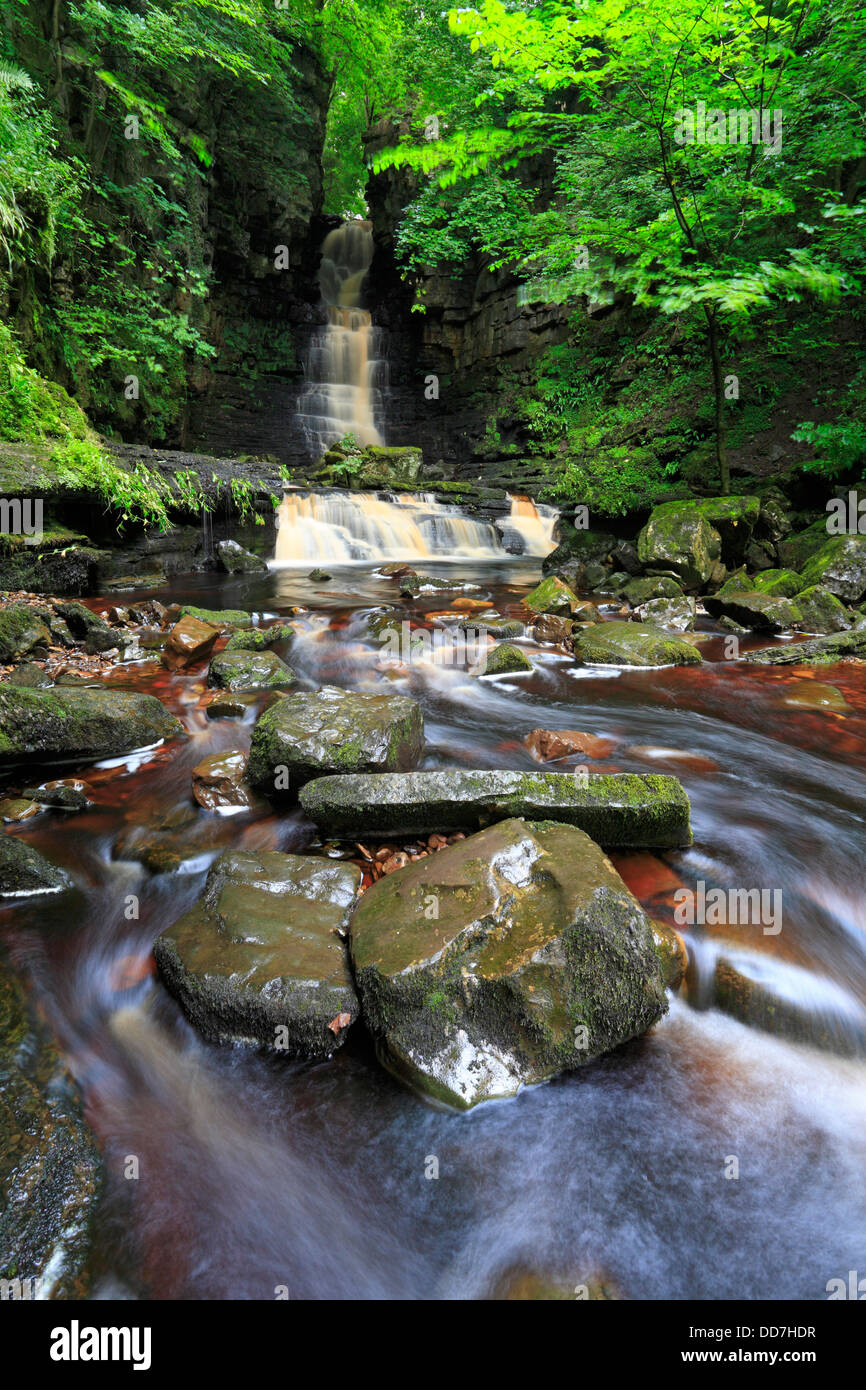 Mill Gill Force near Askrigg in Wensleydale, North Yorkshire, Yorkshire Dales National Park, England, UK. Stock Photo