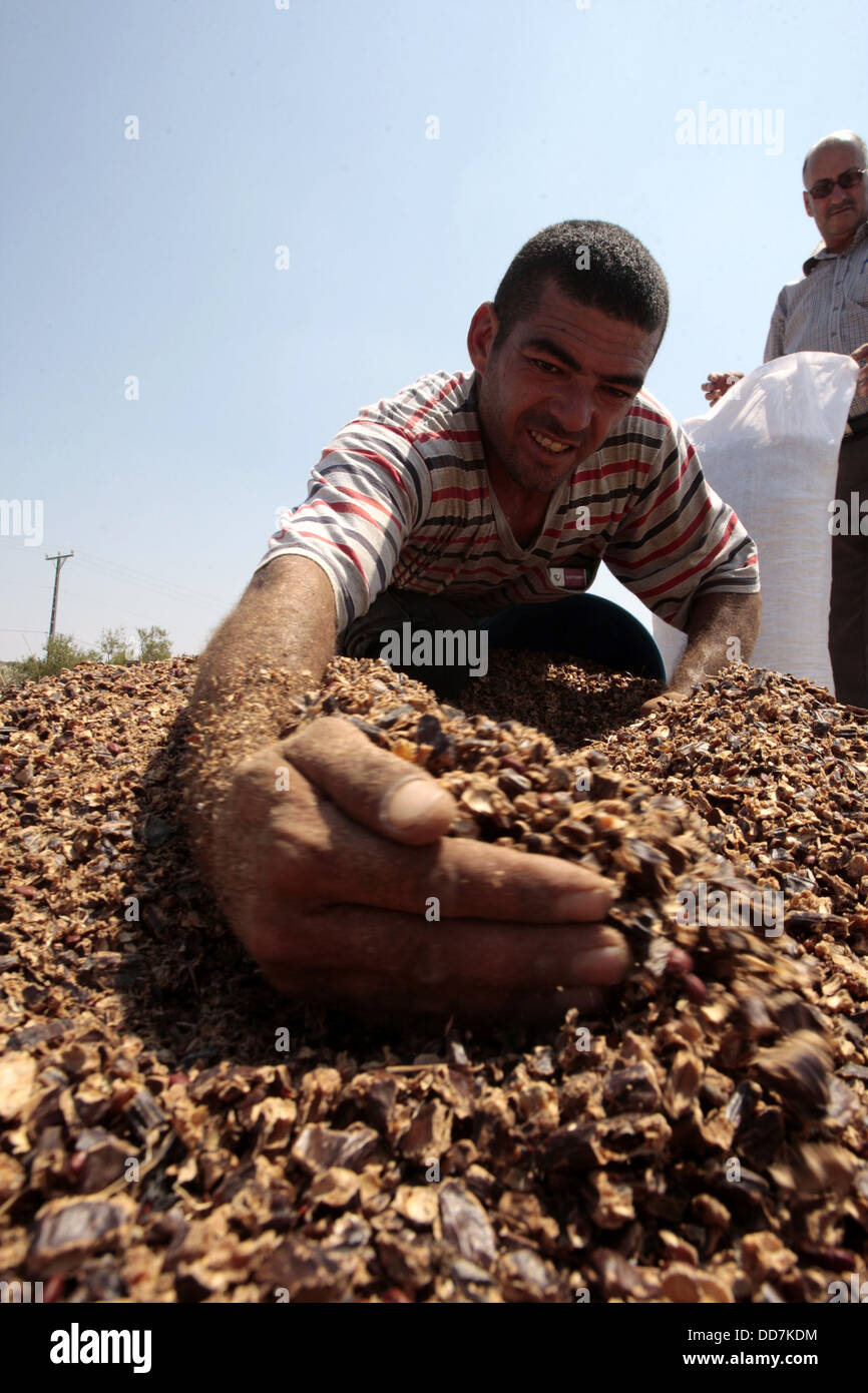 Qalqilya, West Bank, Palestinian Territory. 28th Aug, 2013. A
