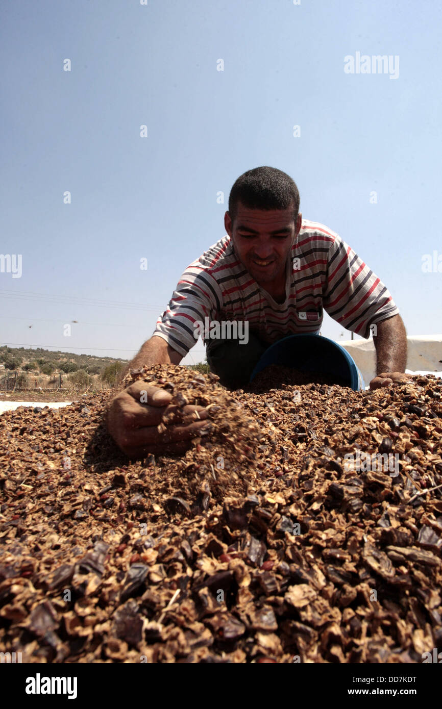 Qalqilya, West Bank, Palestinian Territory. 28th Aug, 2013. A