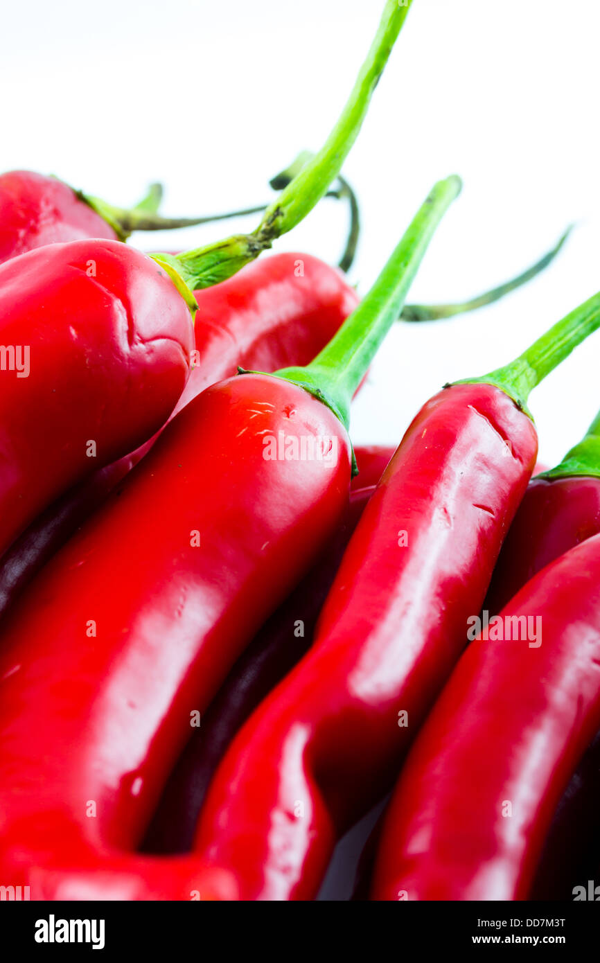 A group of Hot chillis Stock Photo