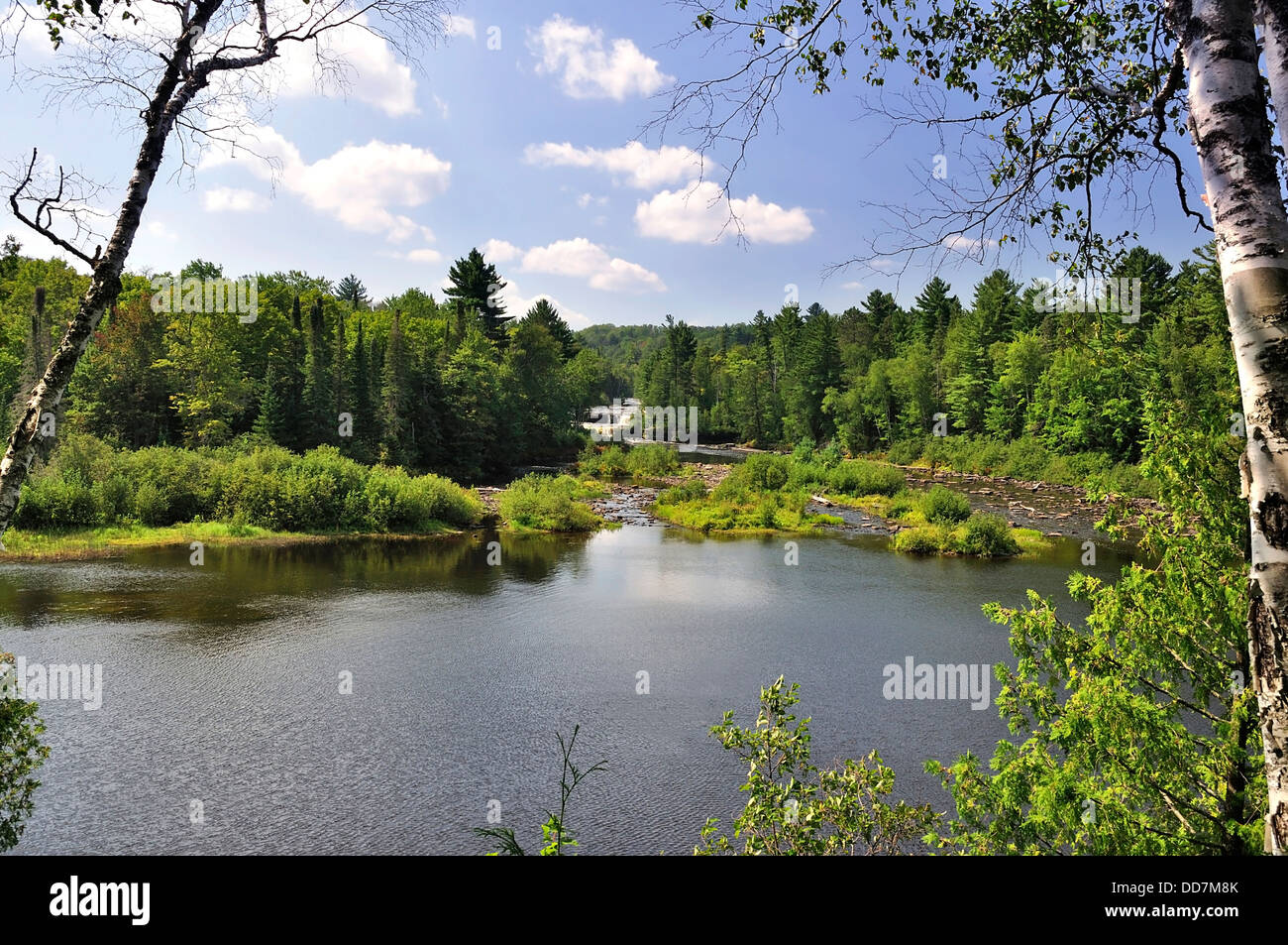 Great landscape with trees hi-res stock photography and images - Alamy